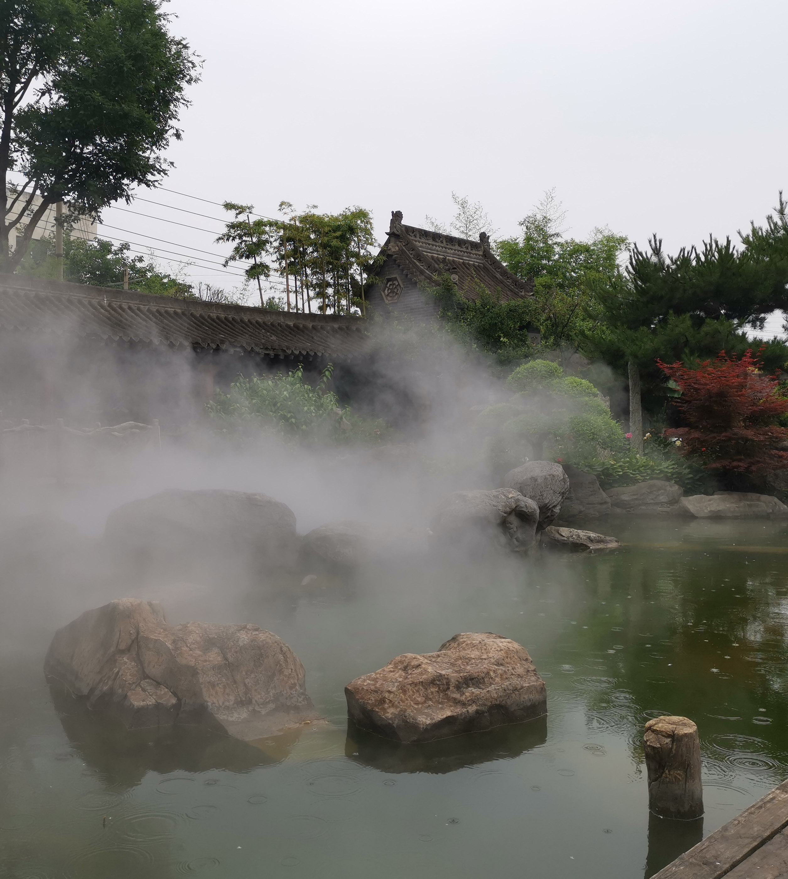 霧森景觀視頻
