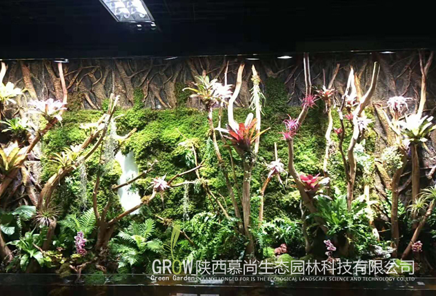 如何打造出一個一流的植物墻？