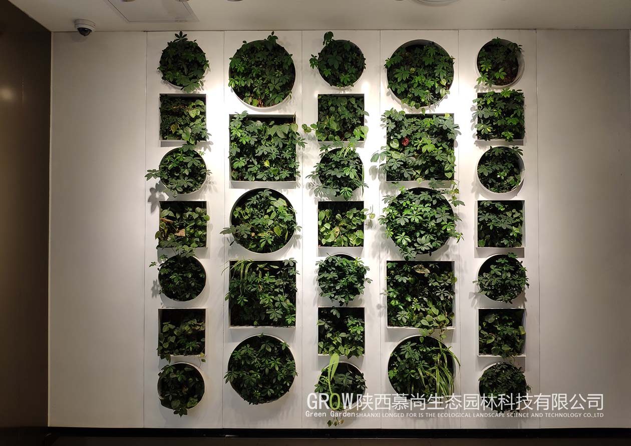 墙体绿化中植物的种植方法