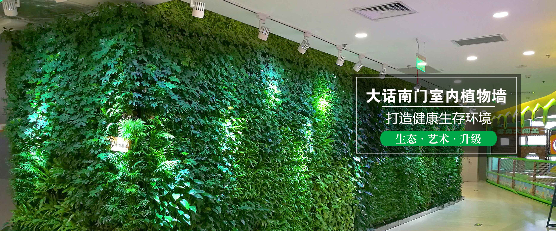 室內植物墻