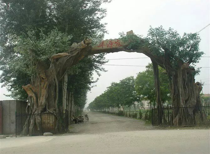 陕西水泥雕塑假树厂家