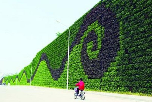 这么美的绿植墙，你见过吗？
