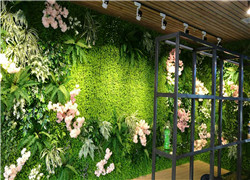 定制立体绿化植物墙有什么标准