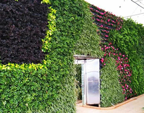植物墙安装完应当如何维护保养？