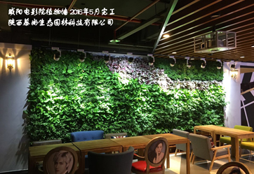 咸阳电影院室内植物墙