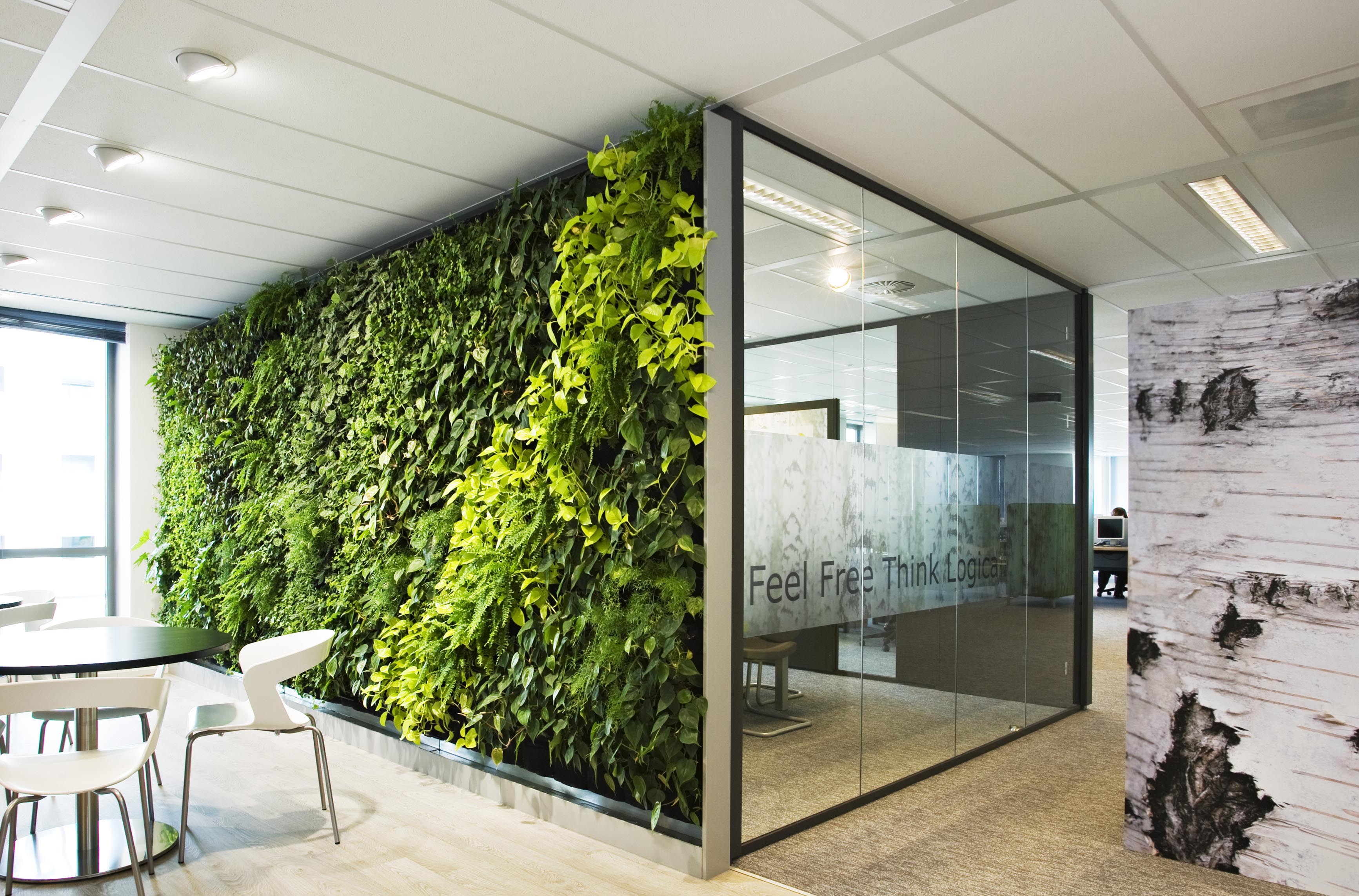 植物墙的设计让你的办公室不再单调