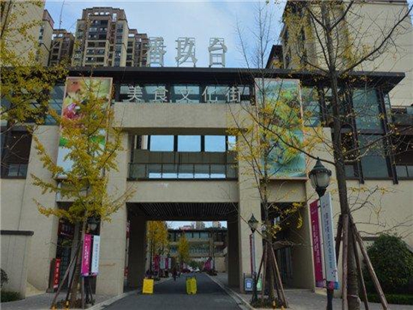 东原观天下一拖三中央空调安装案例