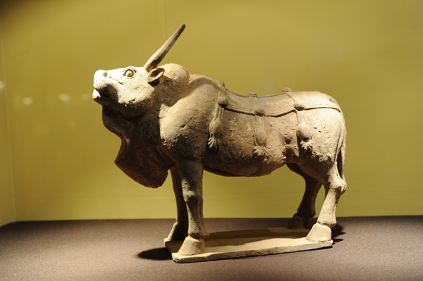 想要了解牛文化就来西安经文牛文化博物馆