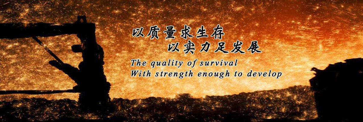 车轮挡圈厂家