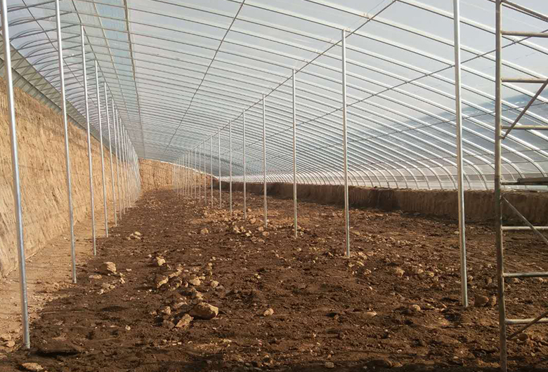 新型農業溫室大棚