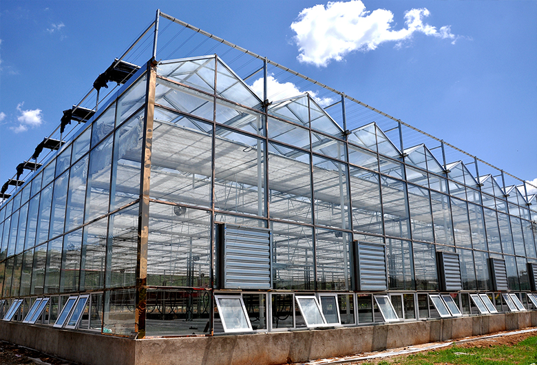 温室大棚如何铺设薄膜以防杂草生长