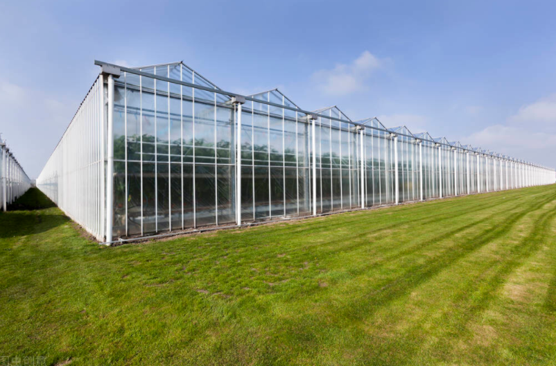博瀚农业分享关于蔬菜温室大棚的骨架结构
