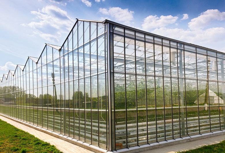玻璃温室大棚的保养及灌溉