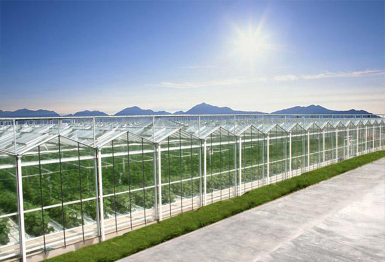 为什么农户越来越青睐青海连栋玻璃温室呢?