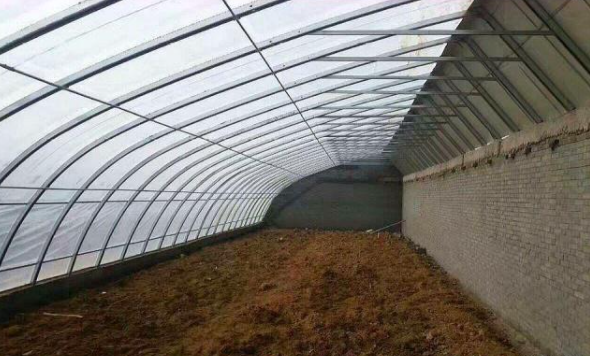 温室大棚大多被用于低温季节蔬菜的栽培