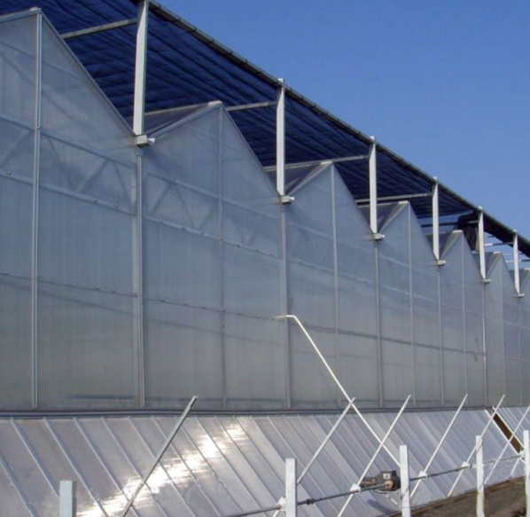 新型阳光板温室大棚