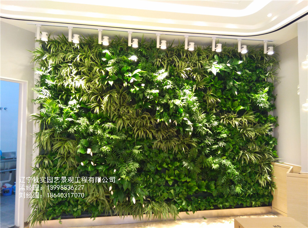 植物墙——打造室内天然氧吧