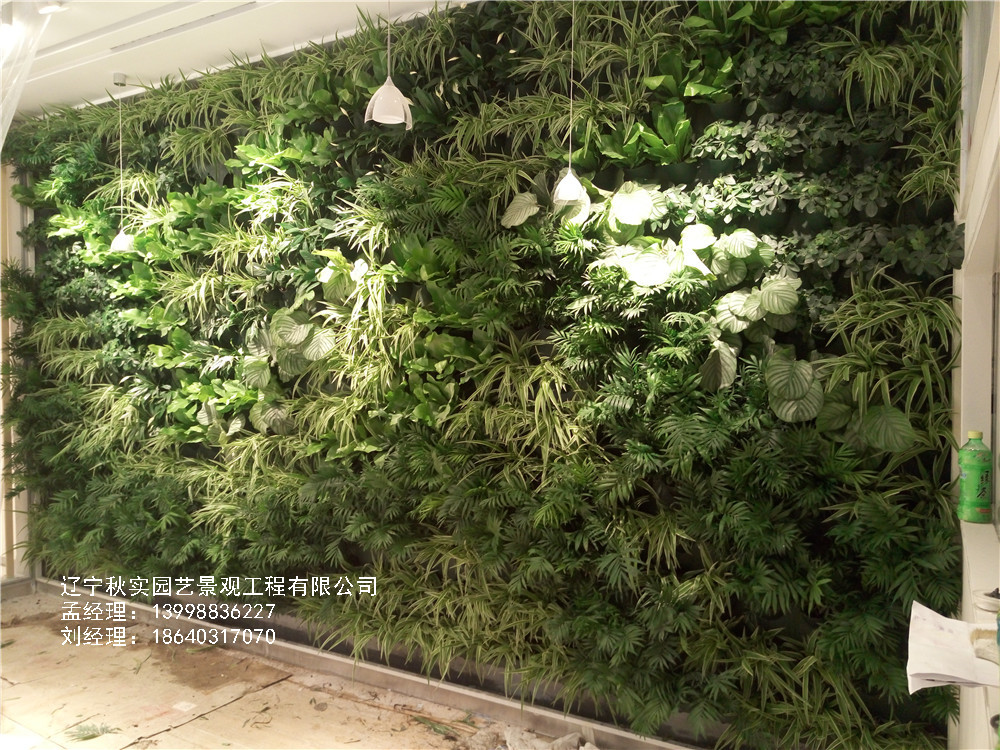 室内绿植墙有哪些种类？