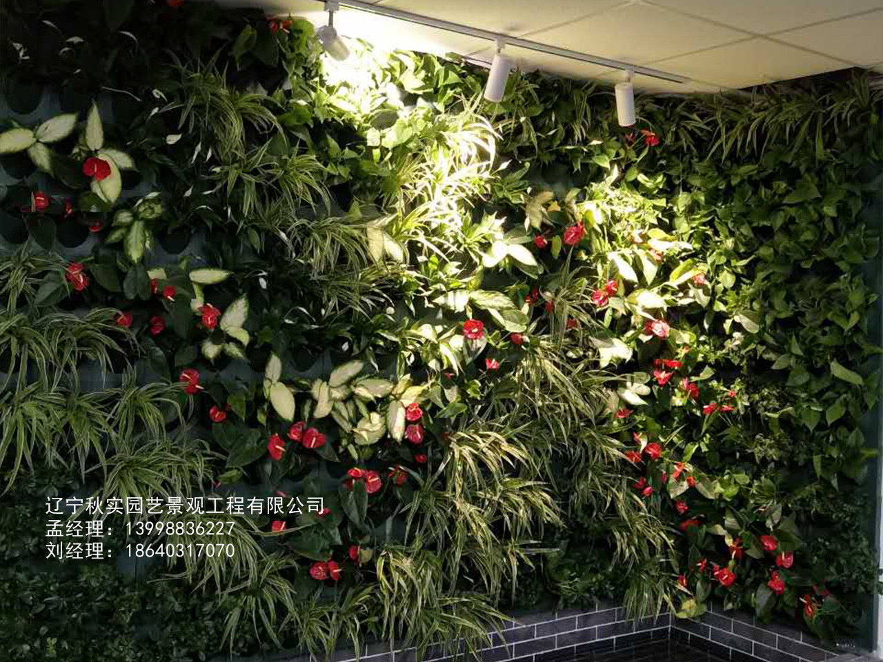 植物墙载体选择需要关注哪些方面？