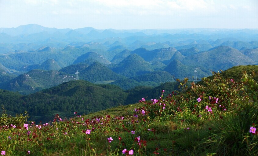 武汉墓地蒙古草原葬