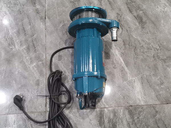 220V清水潛水泵