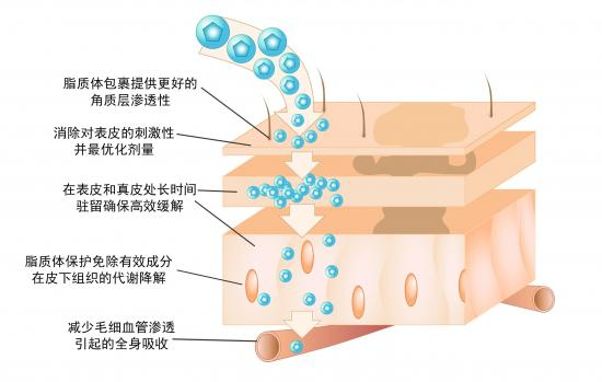 ?仁和珍妍系列產品及珍妍草本凝膠核心技術介紹