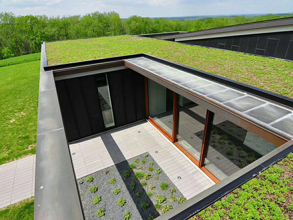 屋顶景观绿化