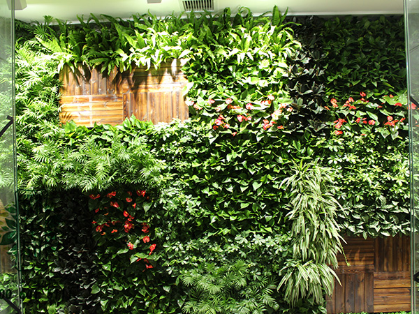 福州生态植物墙