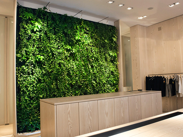 垂直绿化植物墙
