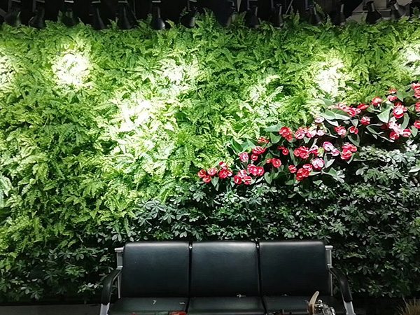自动绿植墙