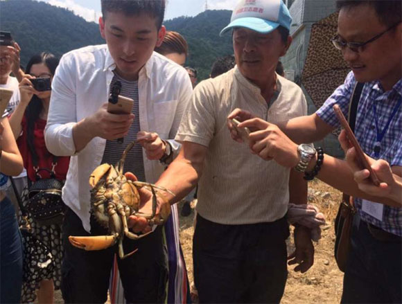 台州三门青蟹为您讲解台州三门的农业发展