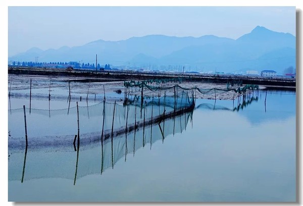 台州三门青蟹告诉你青蟹水质管理