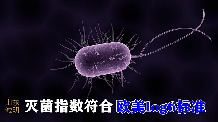 化制灭菌指数
