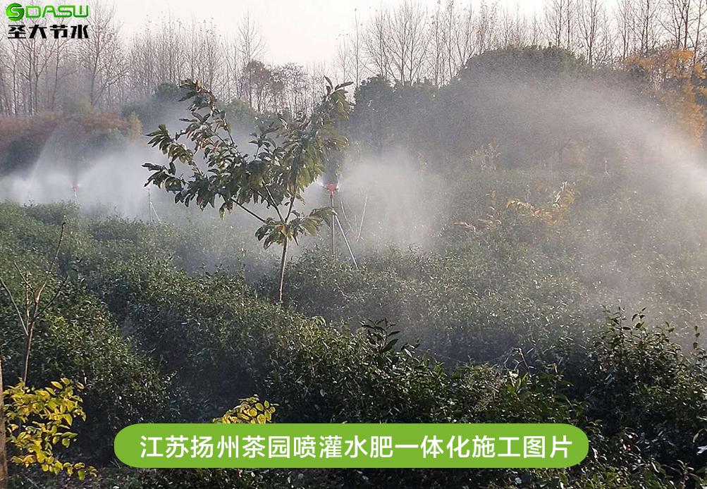 江苏扬州茶园喷灌水肥一体化施工案例-山东圣大节水科技有限公司