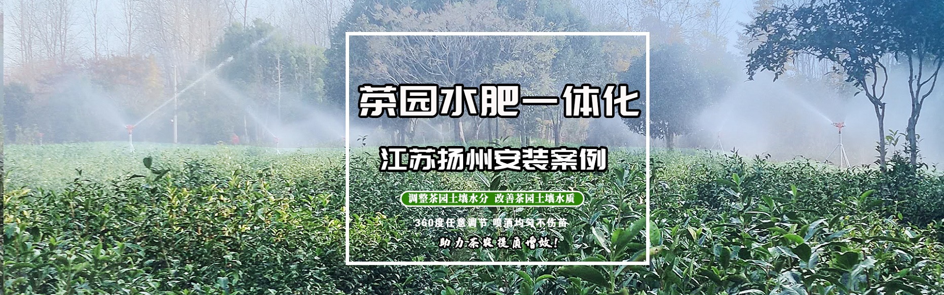 江蘇揚州茶園噴灌水肥一體化施工案例-山東圣大節水科技有限公司