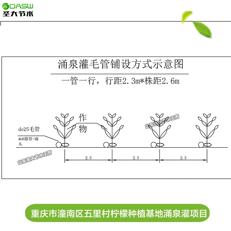  重庆市潼南区五里村柠檬种植基地涌泉灌项目水肥一体化方案设计