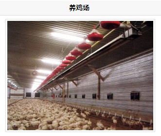 ２０１５年养鸡场取暖专家：鸡舍燃气辐射取暖设备,采暖效果好，节能环保！