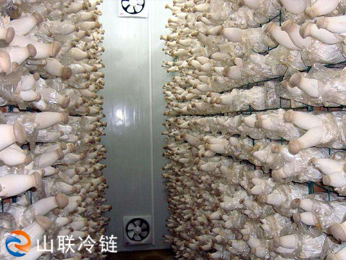 鮮菇保鮮庫