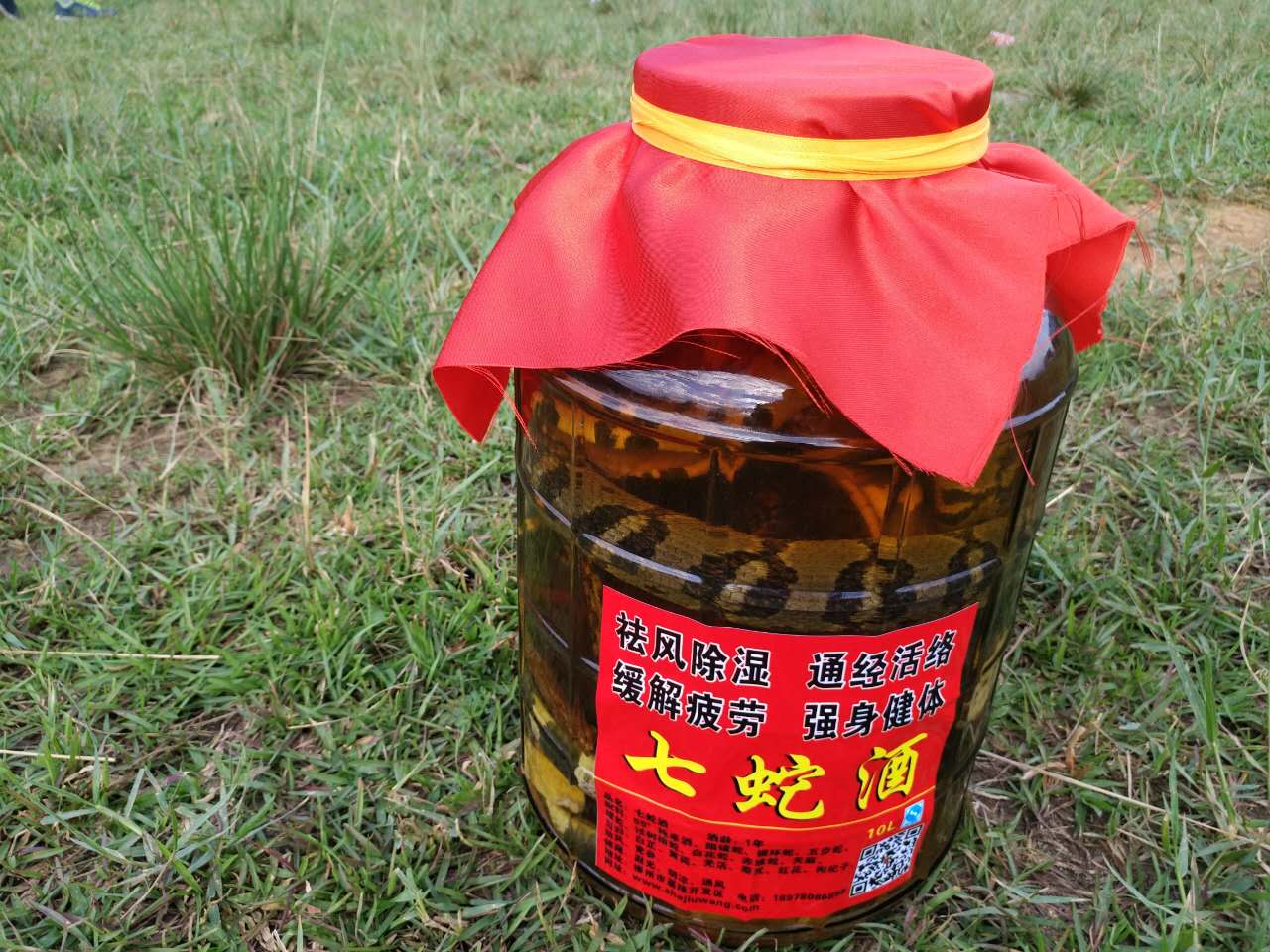 广西柳州市哪里有蛇酒卖关于目前市场上品种繁多进行定价