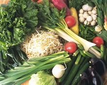 蔬菜配送蕴含着更多营养搭配知识