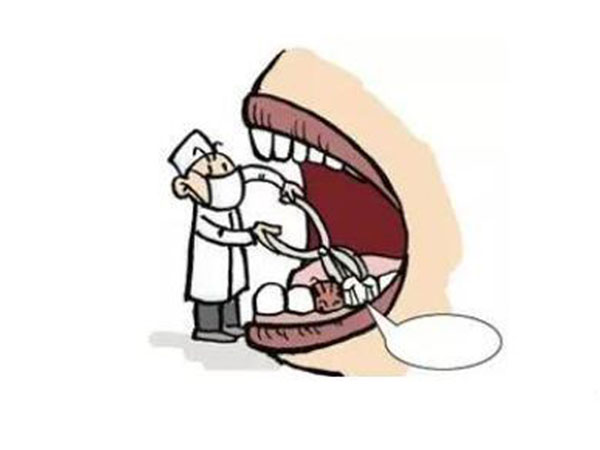 拨智齿