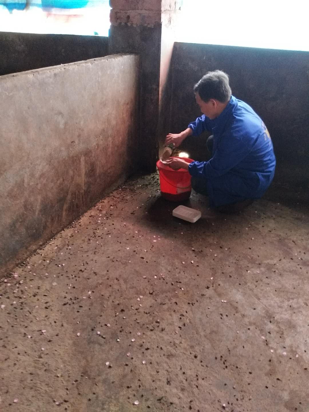 長沙滅鼠|養殖場滅鼠提供滅鼠技術服務和指導