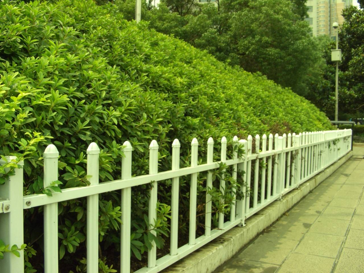 衡阳/邵阳园林护栏在造景中的功能作用