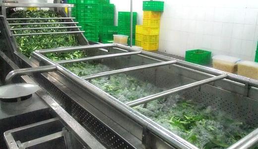 新余/宜春蔬菜清洗机解决水果蔬菜农药残留的问题