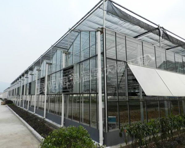 玻璃鋼構溫室大棚
