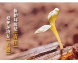 ISO14001环境管理体系如何在医院推行