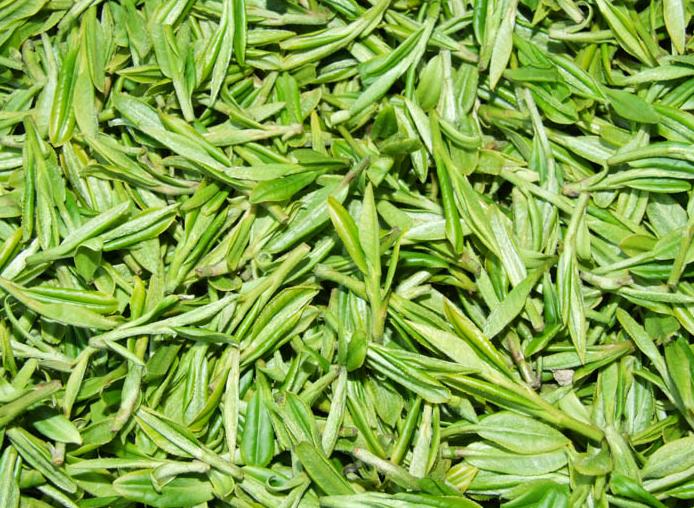西安昌岳生产销售绿茶提取物，茶多酚