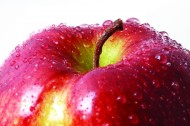 西安特价​夏普复合机销售    生吃苹果可治疗高血压