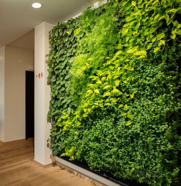大型商场绿化墙的设计原理是什么呢
