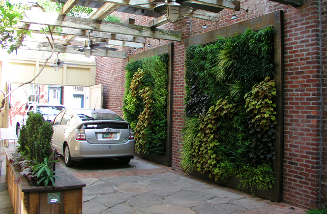 室内制作绿色垂直植物墙现在是非常流行的